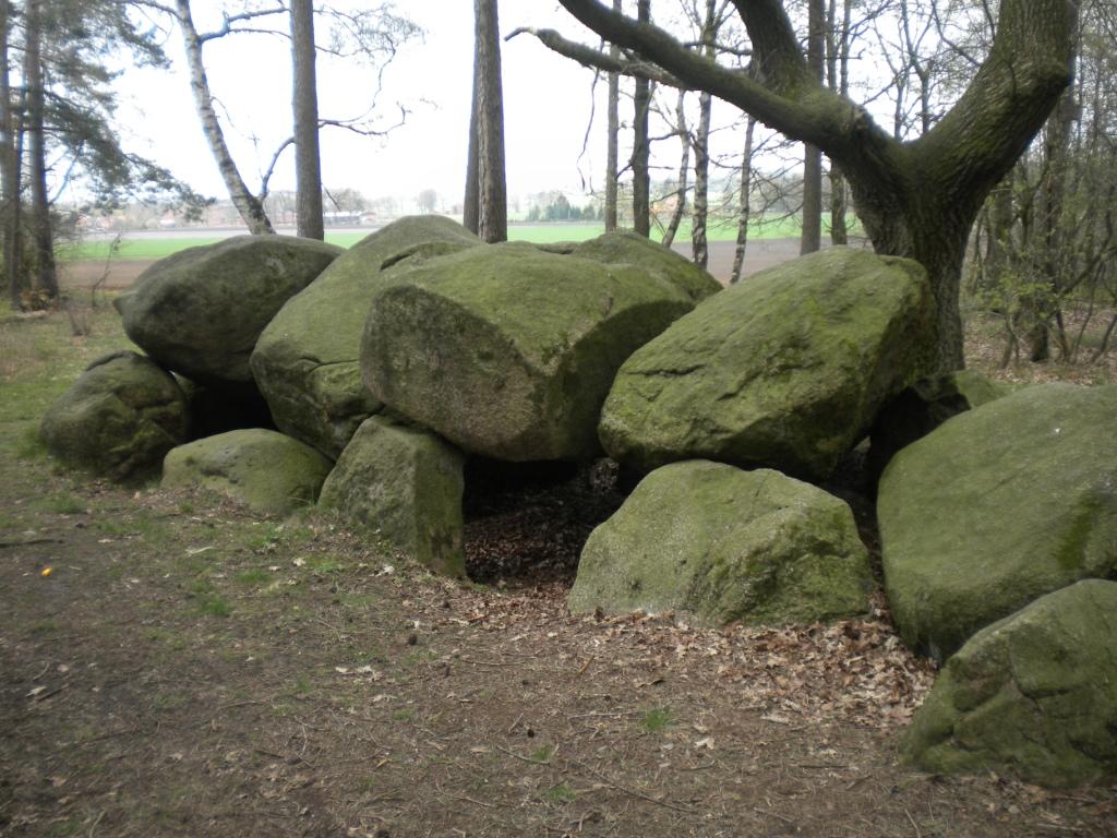Großsteingrab am Wiemelsberg